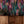 Spectre Ikat wallpaper by Victoria Sanders in multicolour, a blurred ikat design above a cabinet