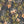 Iris wallpaper by Curate Space in midnight blue, full repeat of botanical blooms and foliage