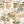 Iris wallpaper by Curate Space in off-white, full repeat of botanical blooms and foliage
