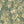 Iris wallpaper by Curate Space in soft green, full repeat of botanical blooms and foliage