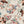 Orla wallpaper by Curate Space in light cream, full repeat of layered florals and foliage over a trellis