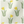 Daffodil Linen Fabric, small scale