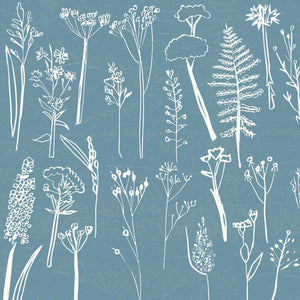 Daily Walk wallpaper by Annika Reed in blue, close-up of wild grasses and seed heads