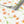 Dancing Autumn Daisies wallpaper by Seed Home Designs in orange and green, roll showing orange daisies on tall stems
