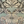 Papilio velvet by Victoria Sanders in pale green, close-up of a mirrored butterfly design