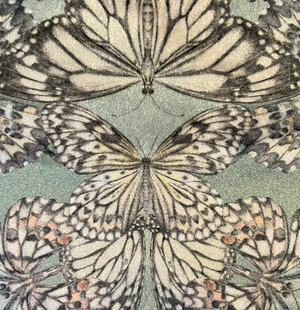 Papilio velvet by Victoria Sanders in pale green, close-up of a mirrored butterfly design