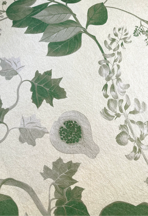 Eden wallpaper by Deus ex Gardenia in cream and green, pattern detail of lush leaves and fruit