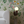 Eden wallpaper by Deus ex Gardenia in cream and green, lush leaves and fruit behind a sofa in a living room
