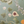 Eden wallpaper by Deus ex Gardenia in sage green, detail of lush leaves and fruit