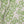 Folio linen by Bethie Tricks in green and white, draped, showing a leaf medallion print