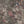 Gentlemen Birds wallpaper by Brand McKenzie in dusky pink, detail of birds hidden among leaves