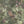 Gentlemen Birds wallpaper by Brand McKenzie in green, pattern detail of birds hidden among leaves