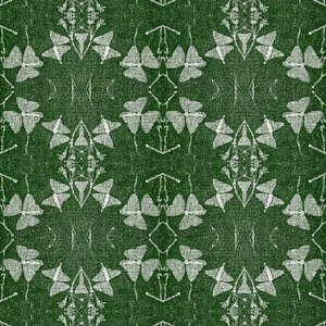 Green grasscloth by Dami and Em Design in green, flat sample of a woven design
