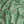 Agnes Lustre velvet by Tatie Lou in green and pink, full repeat of swirling wave lines