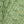 Hepta linen by Bethie Tricks in green, draped, showing leafy rosettes