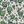 Hot Air Balloons wallpaper by Dami and Em Design in light green, flat sample of hot-air balloons