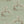Japanese Tree velvet by Dami and Em Design in sage green, flat sample of a Japanese pine tree