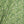 Jungle linen by Bethie Tricks in green, in soft folds showing jungle leaves