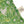 Jungle linen by Bethie Tricks in green, flat sample of jungle leaves