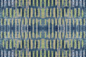 Labyrinth grasscloth by Dami and Em Design in blue and yellow, full repeat of a woven ikat design