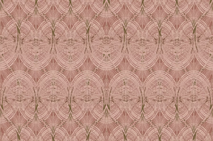 Lace wallpaper by Dami and Em Design in pink, full repeat of a lace pattern