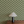 Little Palma wallpaper by Deus ex Gardenia in beige and green, rows of palm trees above a sideboard