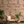 Lyons Den wallpaper by Victoria Sanders in plum, a hot-air balloon and safari toile behind a sofa in a living room