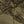 Lyons Den velvet by Victoria Sanders in brown, close view of a hot-air balloon and safari toile