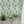 Midsummer wallpaper by Deus ex Gardenia in cream and green, trailing bellflowers behind a sofa in a living room