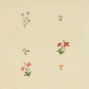 Mitford wallpaper by Parker and Jules in beige, full repeat of scattered flower sprigs