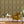Esprit wallpaper by Tatie Lou in mustard, an ornate medallion print behind a sofa in a living room