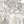 Octopus wallpaper by Brand McKenzie in black, close-up of octopus and sea life