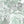 Octopus wallpaper by Brand McKenzie in grey, close-up of octopus and sea life
