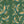 Pachamama wallpaper by Tatie Lou in green, flat sample of flying cranes
