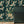 Pachamama wallpaper by Tatie Lou in dark green, flying cranes behind a console table