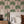 Palma wallpaper by Deus ex Gardenia in pink and green, tall palm trees in a bedroom