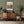 Papilio wallpaper by Victoria Sanders in green, a mirrored butterfly design behind a console table