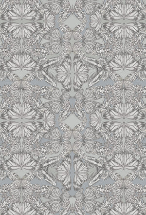 Papilio wallpaper by Victoria Sanders in grey, flat sample of a mirrored butterfly design