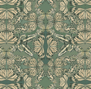 Papilio wallpaper by Victoria Sanders in green, flat sample of a mirrored butterfly design (second view)