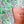 Strawberry Fields wallpaper by Parker and Jules in green, strawberries, ferns and pansies upholstered on an armchair