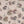 Spicewood Wallpaper in Fallow by Parker and Jules