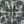 Passementerie wallpaper by Dami and Em Design in blue, full repeat of tassels and trimmings