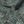 Passementerie wallpaper by Dami and Em Design in dark green, partly unrolled roll showing tassels and trimmings