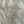 Passiflora wallpaper by Deus ex Gardenia in grey, flat sample of parrots and passion flowers