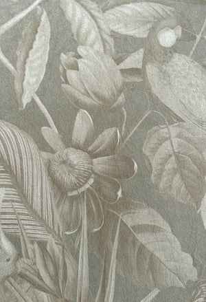Passiflora wallpaper by Deus ex Gardenia in grey, flat sample of parrots and passion flowers