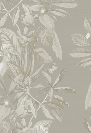Passiflora wallpaper by Deus ex Gardenia in grey, full repeat of parrots and passion flowers