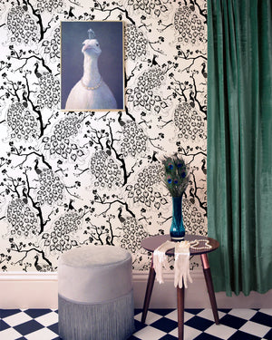 Peacock wallpaper by Dupenny in black and white, peacocks in branches on a feature wall