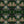 Hampi velvet by Tatie Lou in dark green, full repeat of tropical flowers in a mirrored print