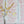 Monkeys and Birds wallpaper by St. Jude's in pink, monkeys and birds on stems behind a console table