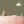Plume wallpaper by Tatie Lou in pink and gold, Deco plumes in a kitchen